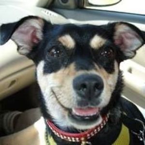 Meet your Posher, Steven